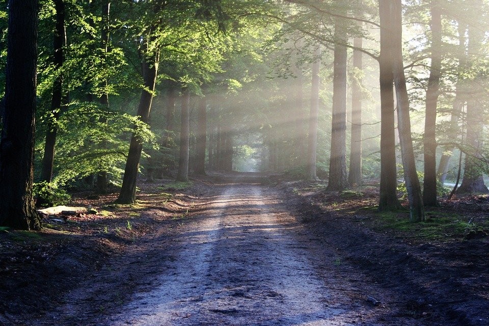 walking pathway outdoor, representing the need to connect with nature